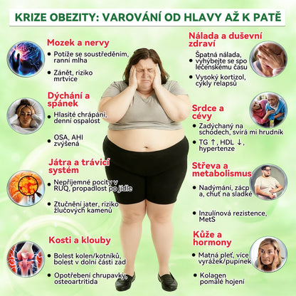 𝐎𝐟𝐢𝐜𝐢á𝐥𝐧í č𝐞𝐬𝐤ý 𝐨𝐛𝐜𝐡𝐨𝐝  | 🍃🍃𝐆𝐚𝐟𝐚𝐜𝐞®𝐁𝐄𝐑𝐁𝐄𝐑𝐈𝐍𝐄 𝐗 𝐍𝐀𝐃+𝟏𝟎-𝐕-𝟏 𝐏𝐎𝐊𝐑𝐎Č𝐈𝐋Á 𝐑𝐄𝐂𝐄𝐏𝐓𝐔𝐑𝐀 𝐏𝐨𝐤𝐫𝐨č𝐢𝐥á 𝐍𝐚𝐧𝐨 𝐌𝐢𝐤𝐫𝐨𝐣𝐞𝐡𝐥𝐢č𝐤𝐨𝐯á 𝐍á𝐩𝐥𝐚𝐬𝐭